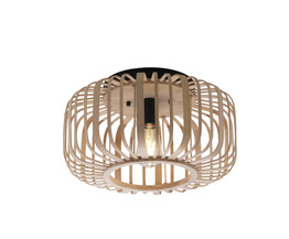 Oprawa Sufitowa Paul Neuhaus RACOON 11412-79