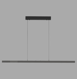 Lampa Wisząca Paul Neuhaus Adriana Comfort Lift 003902-032875