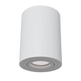 Lampa sufitowa Maytoni Alfa C016CL-01W Biała