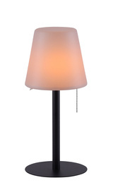 Lampa Biurkowa Paul Neuhaus Euria 19250-18 IP54