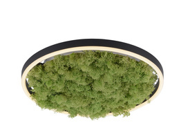 Lampa Sufitowa Paul Neuhaus Ritus 15391-66