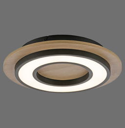 Plafon Paul Neuhaus Tola 003902-031865