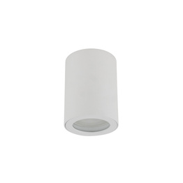 TK Lighting Ligno 10932 Plafon Zewnętrzny