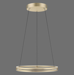 Lampa Wisząca Paul Neuhaus Puree-loop 003902-031685