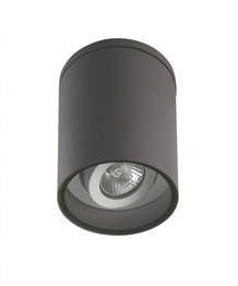 Lampa sufitowa z regulowanym kątem nachylenia  Adela 7004 DG SU-MA