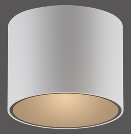 Plafon Zuma Line Pure Point 003902-036437