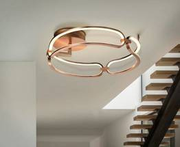 Zwis Schuller Colette 786430