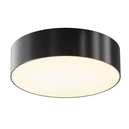 Lampa sufitowa zewnętrzna Maytoni O431CL-L30B3K Zon IP