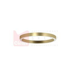 Cleoni Plafon 1408/GH/LA/W/SP/PK89 962 LED Złoty 100 cm