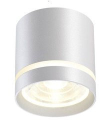 Dann Lux Design REGE WH 4K DLD5323 Spot ledowy 4000K biały