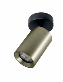 Spot TLS006-GLD Zuma Line Tore