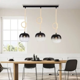 Lampa Wisząca Paul Neuhaus LUMA 2411-18